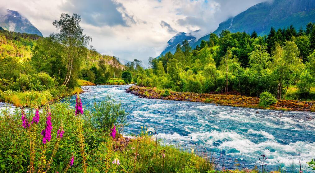Sommerlandschaft Fluss Fjord Norwegen Reisen