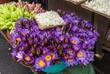 Lotusblumen auf einem Markt in Kandy