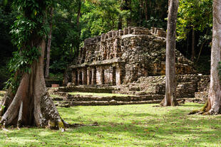 Maya-Ruinen in Yaxchilán
