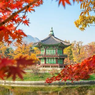 Blick auf Tempel durch rotes Herbstlaub