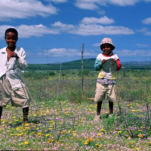 Kinder eines kleinen afrikanischen Dorfes 