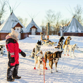Huskyfarm in Norwegen