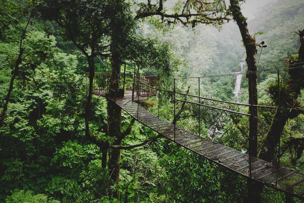 Hängebrücke im Nebelwald in Boquete