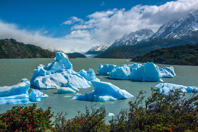 Lago Grey