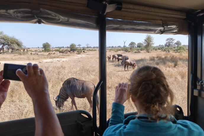 Safari im Krüger Nationalpark