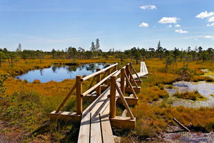 Kemeri Nationalpark