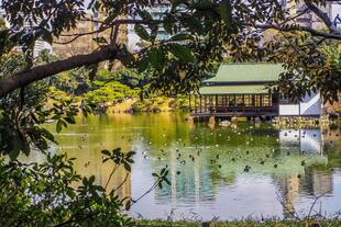 Kiyosumi
