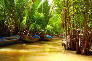 Mekong Delta