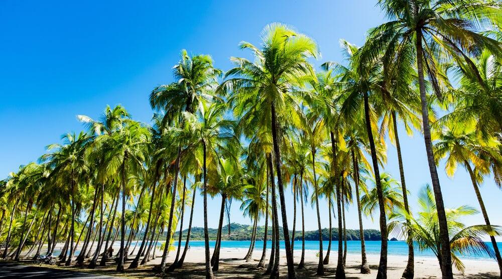 Strand in Puerto Carrilo