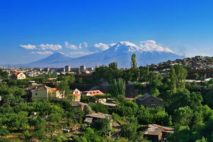 Ararat