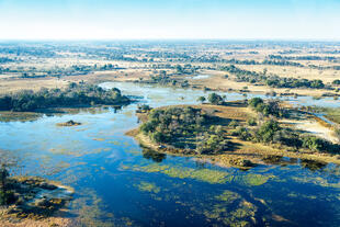 Blick auf Okavango Delta