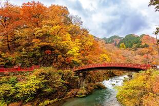 Nikko