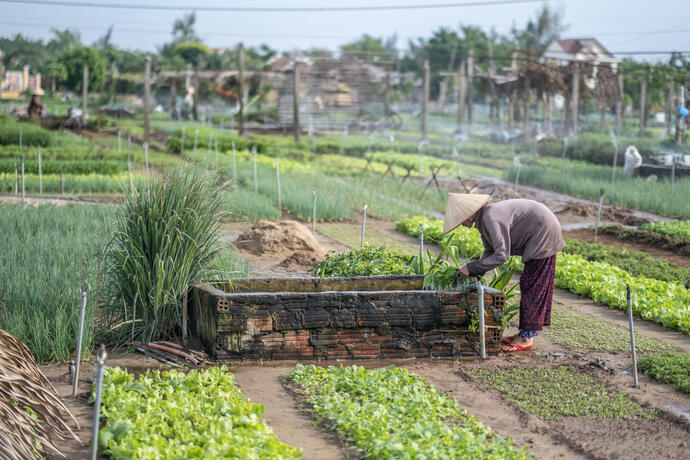 Vietnamesische Landwirtin in einem Dorf