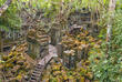 Beng Mealea