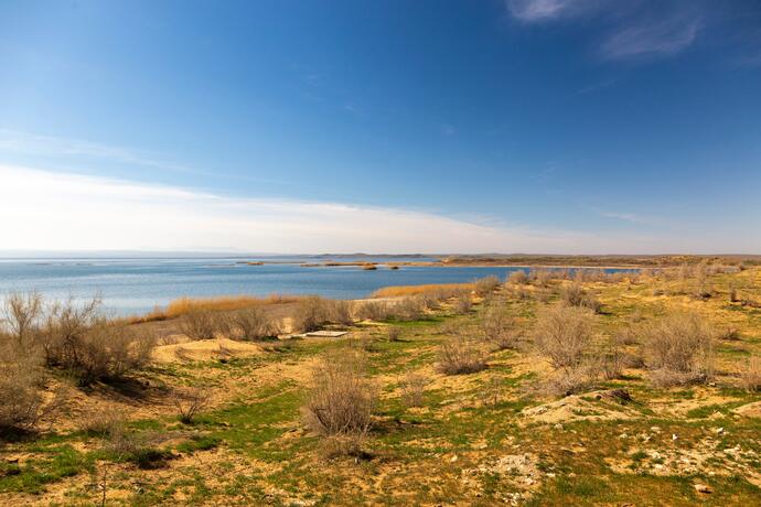 Blick auf den Aydarkul See in der Wüste Kyzylkum 