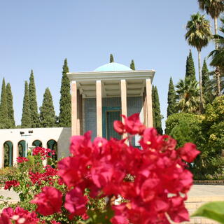 Blumen in Shiraz 