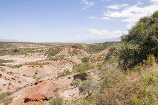 Landschaft an der Olduvai Schlucht