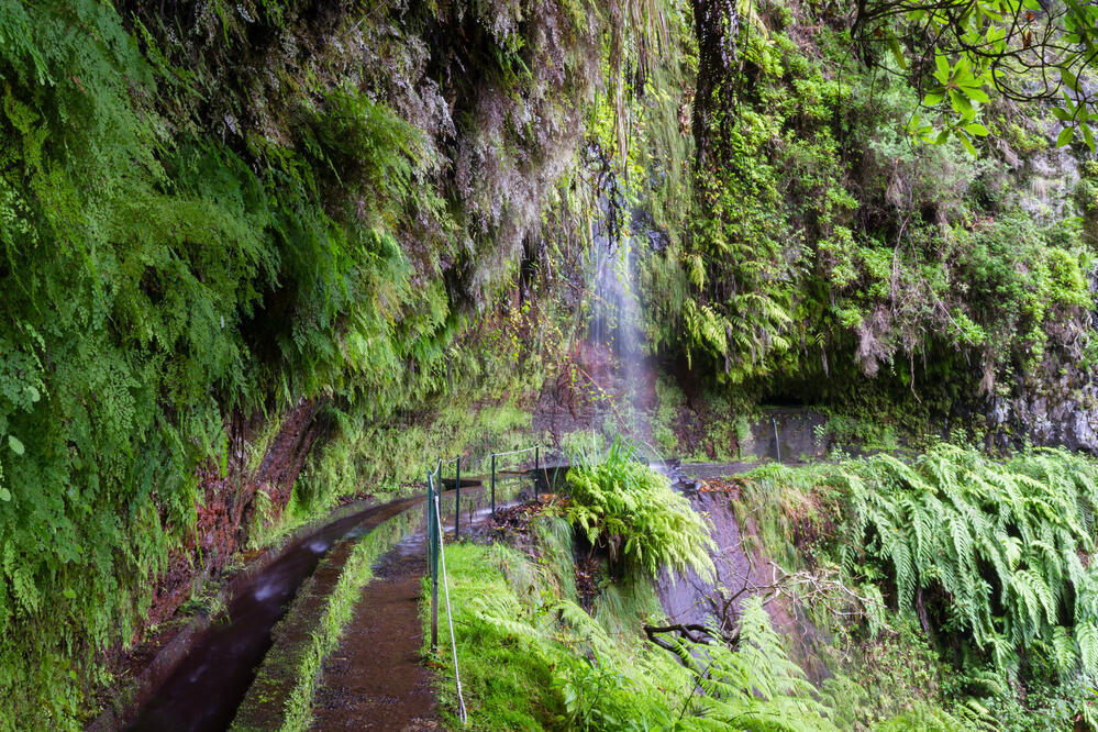 Wasserfall an der Levada do Rei