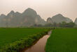 Reisfelder bei Halong Bay