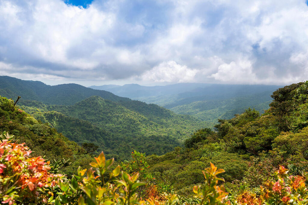 Santa Elena NAtionalpark