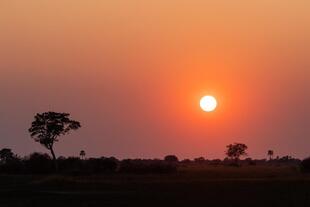 Sonnenuntergang im Okavango-Delta
