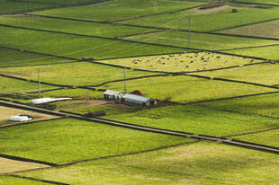 Ackerflächen auf Terceira