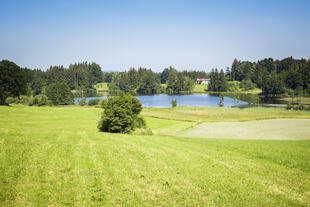 Landschaft bei Murnau
