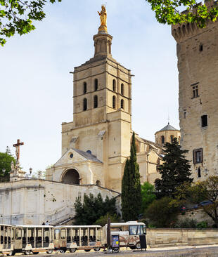 Papstpalast in Avignon 