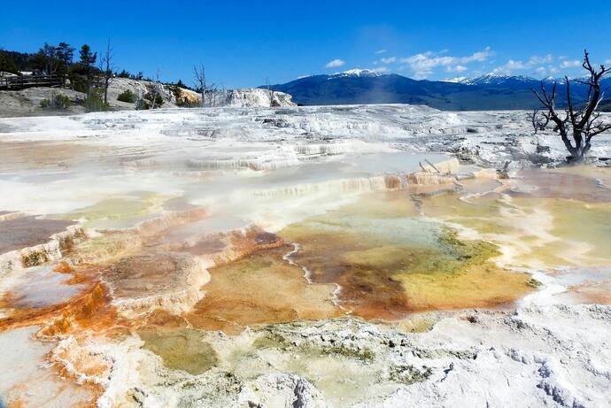 Blick auf den Mammoth Hot Spring im Yellowstone-Nationalpark in den USA