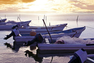 Fischerboote in Campeche