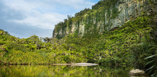 Porarari Fluss im Paparoa Nationalpark 