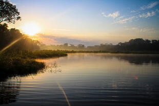 Amazonas bei Puerto Maldonado 