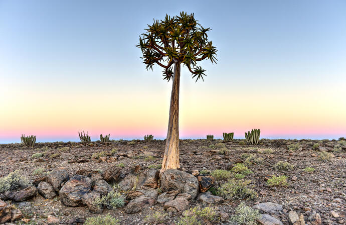 Fish River Canyon