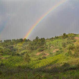 Regenbogen über dem Queen Elizabeth Nationalpark