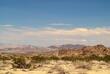 Landschaft der Mojave Wüste