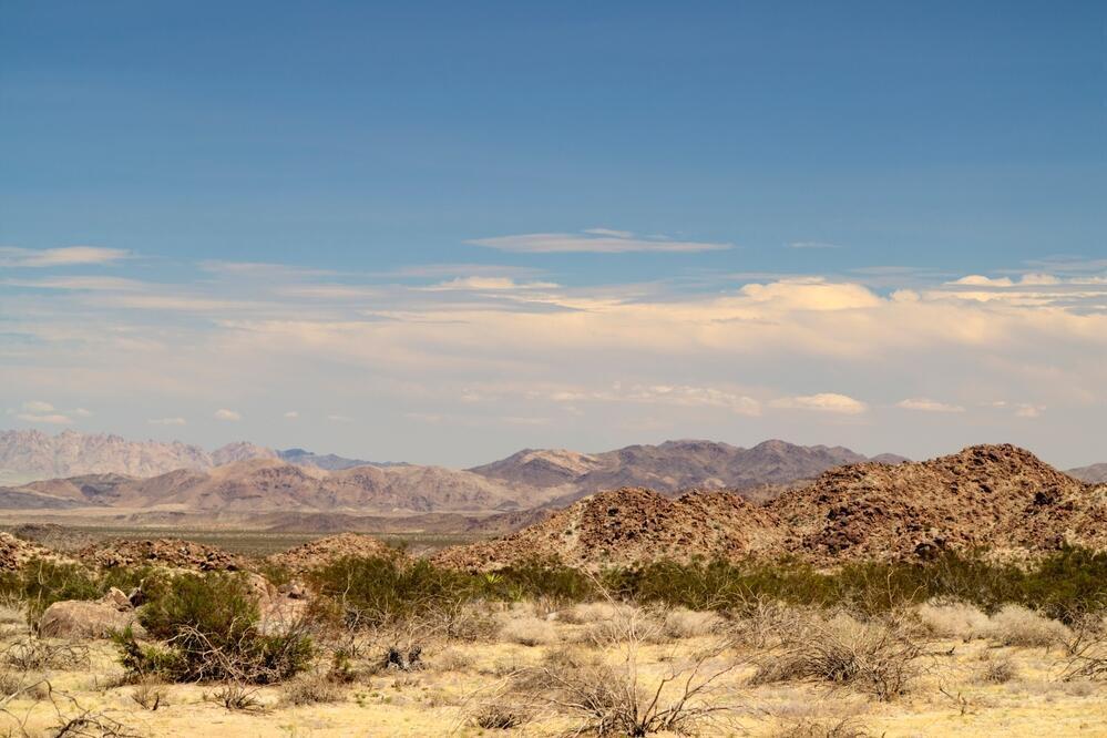 Landschaft der Mojave Wüste
