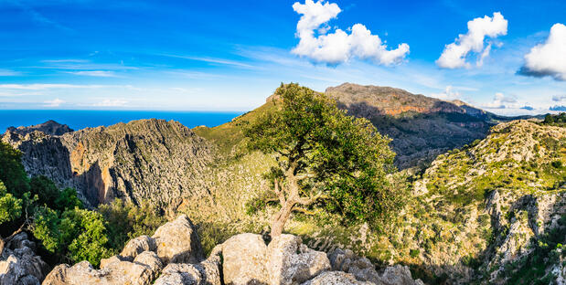 Tramuntana Gebirge