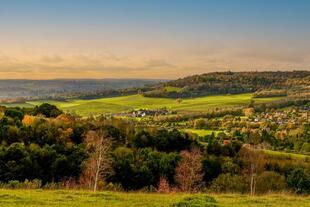 Box Hill