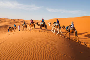 Karawane in der Sahara 