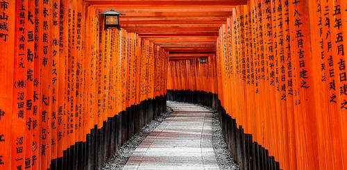 Torii-Tore im Fushimi Inari Schrein
