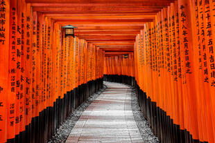Torii-Tore im Fushimi Inari Schrein