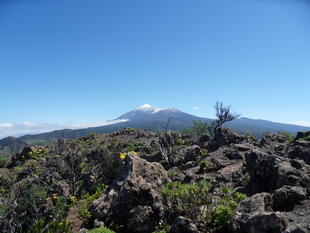Aussicht vom Pico del Teide aus