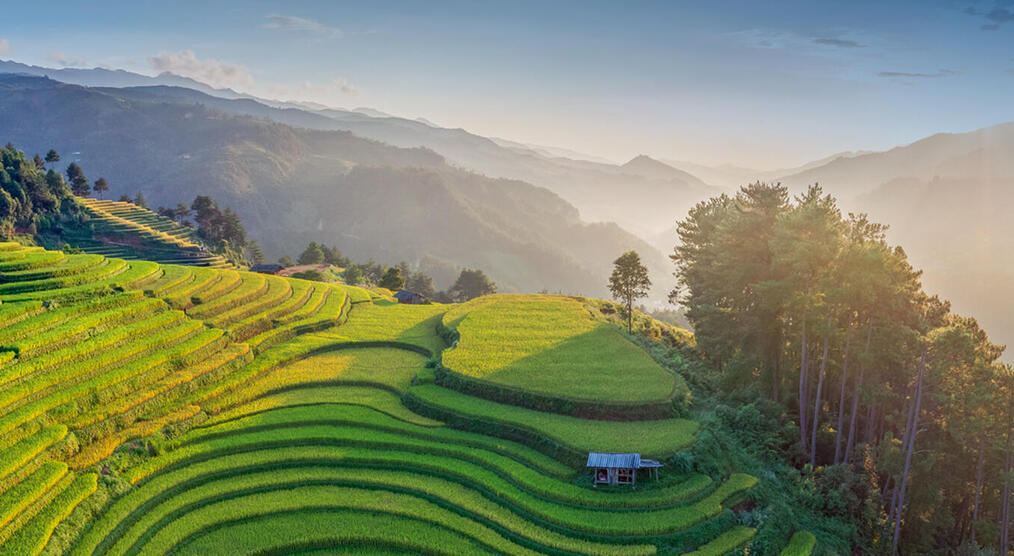 Die Reisterrassen von Mu Cang Chai
