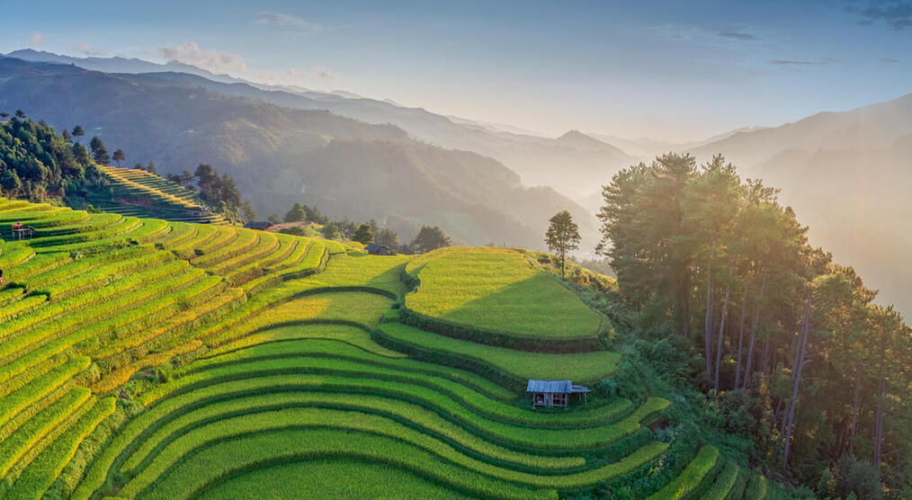 Die Reisterrassen von Mu Cang Chai