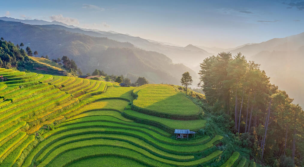 Die Reisterrassen von Mu Cang Chai