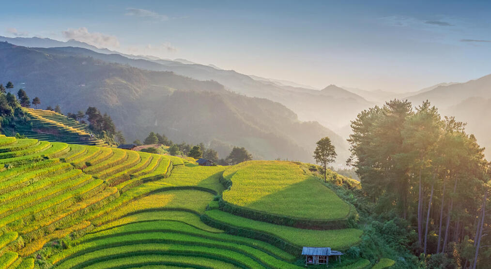 Die Reisterrassen von Mu Cang Chai