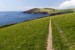 Küstenlandschaft bei Fowey