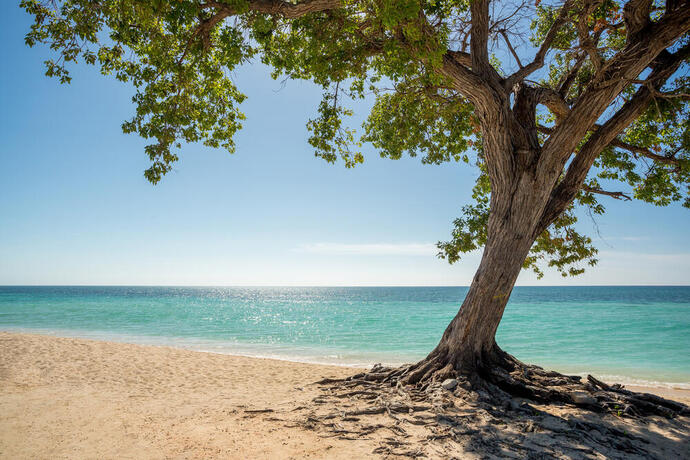 Playa Acón