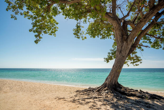 Playa Acón