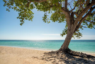 Playa Acón